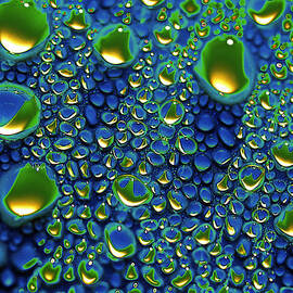 wax holds up by Joe Schofield