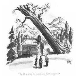 We Like It A Lot by Robert J Day