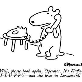 Well, Please Look Again, Operator.  It's Fluffy - by Charles Barsotti