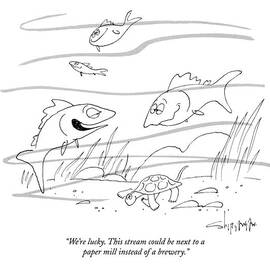 We're Lucky. This Stream Could Be Next To A Paper by Vahan Shirvanian