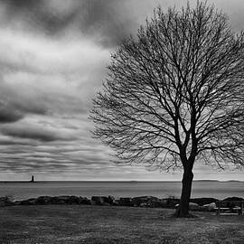 Whaleback Maple Tree Stormy Sky by Jeff Sinon