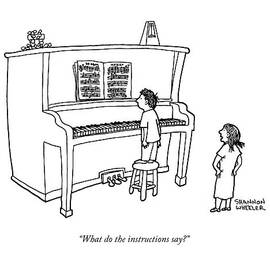 What Do The Instructions Say? by Shannon Wheeler