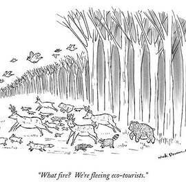What Fire?  We're Fleeing Eco-tourists by Nick Downes