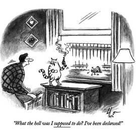 What The Hell Was I Supposed To Do? I've by Frank Cotham