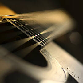 while my guitar gently weeps by Laura Fasulo