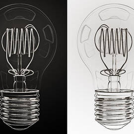 White Bulb Black Bulb by Scott Norris