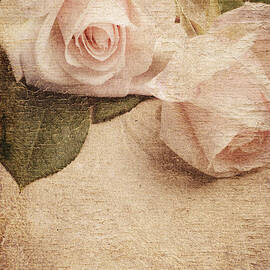 White Roses by Jelena Jovanovic