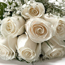 White Roses by Susan Candelario