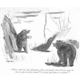 Why Can't He Just Hibernate by James Stevenson