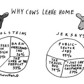 Why Cows Leave Home by Michael Crawford