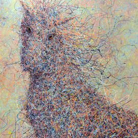 Wild Horse by James W Johnson