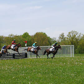 Willowdale - Cold Water Spring Leads I by Richard Reeve