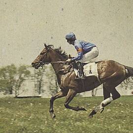 Willowdale - Don't Tell Sailor III by Richard Reeve