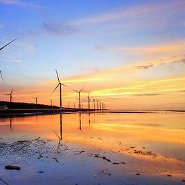 Wind Turbines On Wetland During Sunset by Samyaoo