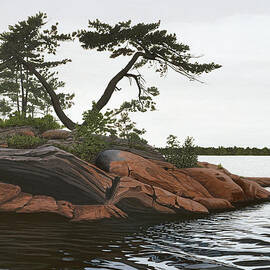 Windswept by Kenneth M Kirsch