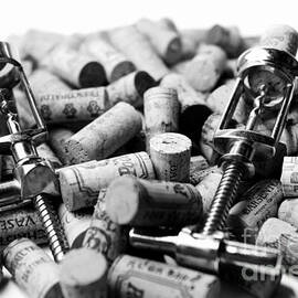 Wine Tasting by Stefano Senise