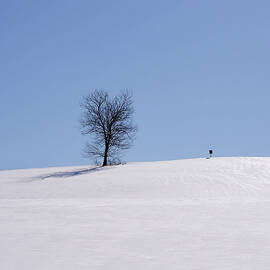 Winter - Square Sign by Richard Reeve