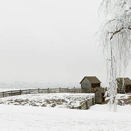 Winter Farm by Mary Jo Allen