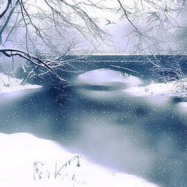 Winter Haiku by Jessica Jenney