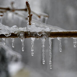 Winter - Ice Drops by Richard Reeve
