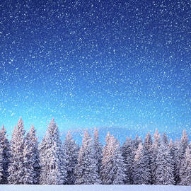 Winter Landscape by Borchee