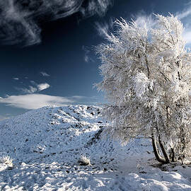 Winter Landscape by Grant Glendinning