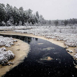 Winter Landscape by Louis Dallara