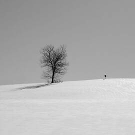 Winter - Square Sign in Mono by Richard Reeve
