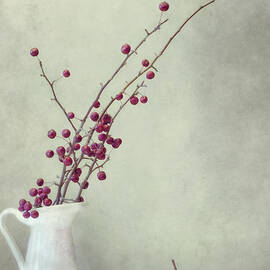 winter still life by Priska Wettstein