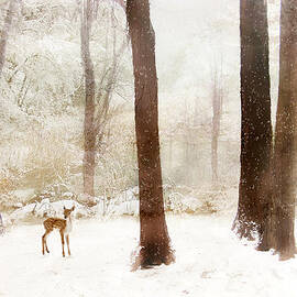 Winter Whimsy by Jessica Jenney