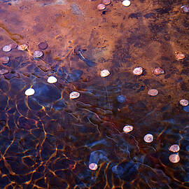 Wishes by Rona Black