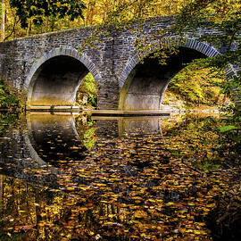 Wissahickon park Bridge by Louis Dallara