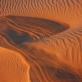 Woman In the Dunes by Beth Sargent