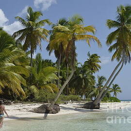 Woman walking by coconuts trees on a pristine beach by Sami Sarkis Photography