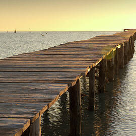 Wooden Landing Jetty, Mallorca, Spain by Travelpix Ltd