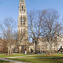 Yale University by Georgia Clare