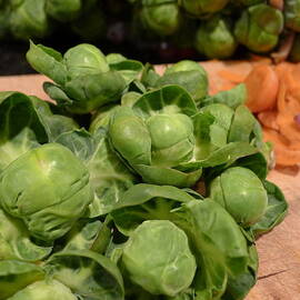 Yearly Tradition by Richard Reeve