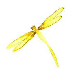 Yellow Dragonfly by Mariusz Szmerdt