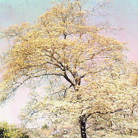 Yellow Pink Nature Trees - Dreamy Fantasy Surreal Yellow Pink Golden Trees Nature Landscape by Kathy Fornal