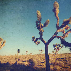 Yes I'm Still Running by Laurie Search