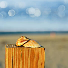 you and me by Laura Fasulo