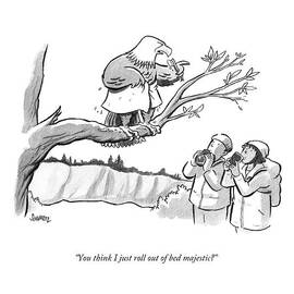 You Think I Just Roll Out Of Bed Majestic? by Benjamin Schwartz