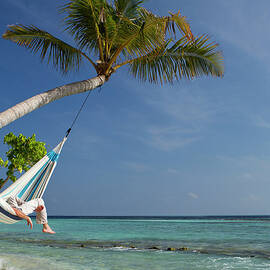 Young Adult Hammock Napping In Paradise by Joakimbkk