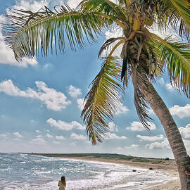 Young Lady Walking The Beach At Cozumel by Ronnie Wiggin