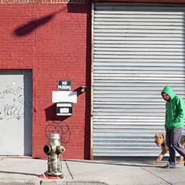 Young Man Walks Dog by Alex Potemkin