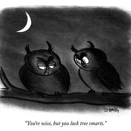 You're Wise by Donald Reilly