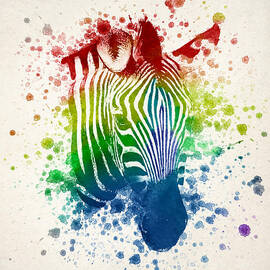 Zebra Splash by Aged Pixel