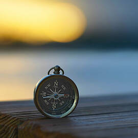 zen scape by Laura Fasulo