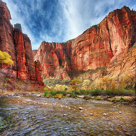 Zion by Beth Sargent