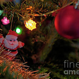  Christmas tree by Sami Sarkis Photography